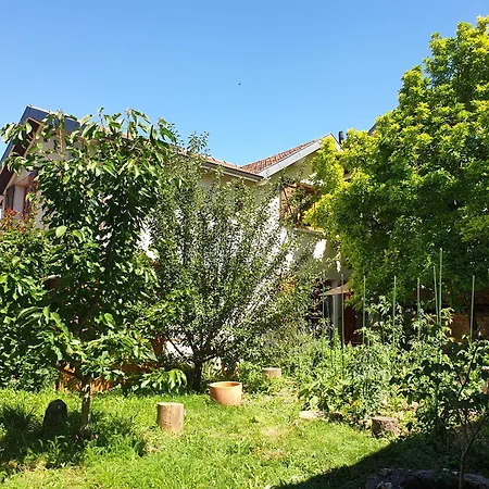 Suite Zen Avec Coin Salon Et Vue Sur Jardin * Dijon